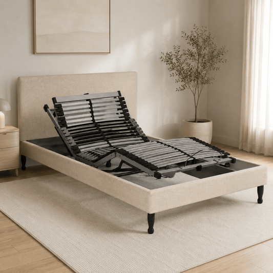 Dream Vendor Adjustable Electric Bed Base With Remote (5 Positions)