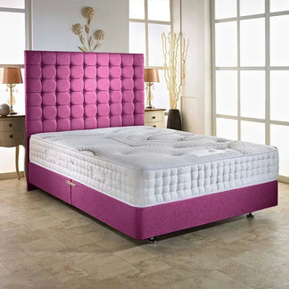 Plush Plum